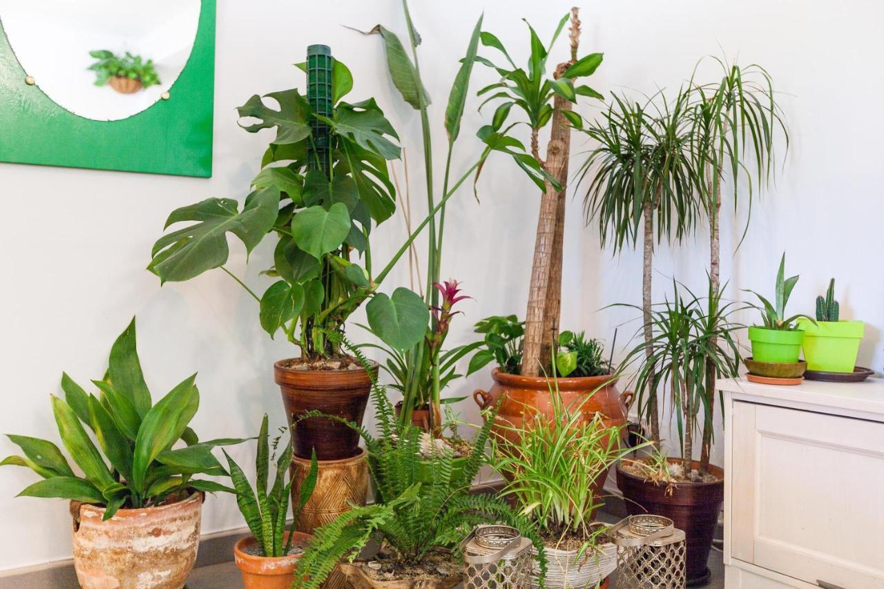 Boutique Apartamento